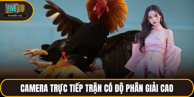 Camera trực tiếp trận có độ phân giải cao