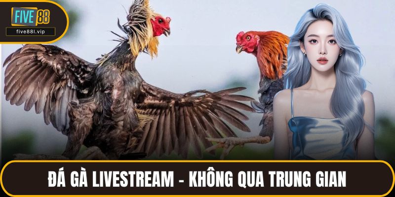 Đá gà livestream – không qua trung gian