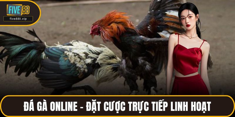 Đá gà online – Đặt cược trực tiếp linh hoạt