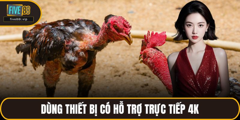 Dùng thiết bị có hỗ trợ trực tiếp 4K