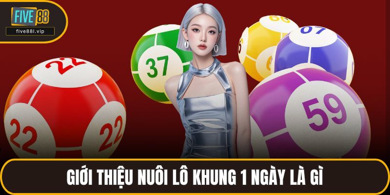 Giới thiệu nuôi lô khung 1 ngày là gì