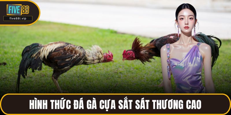 Hình thức đá gà cựa sắt sát thương cao