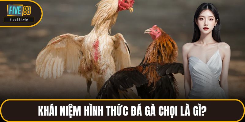 Khái niệm hình thức đá gà chọi là gì?