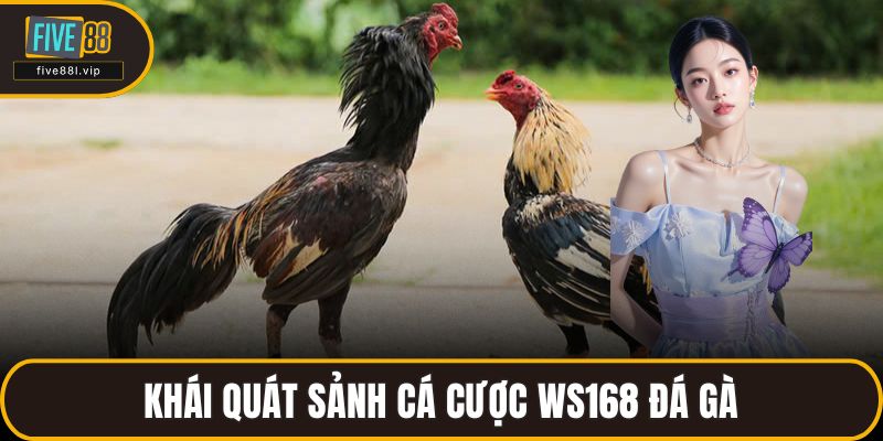 Khái quát sảnh cá cược WS168 đá gà