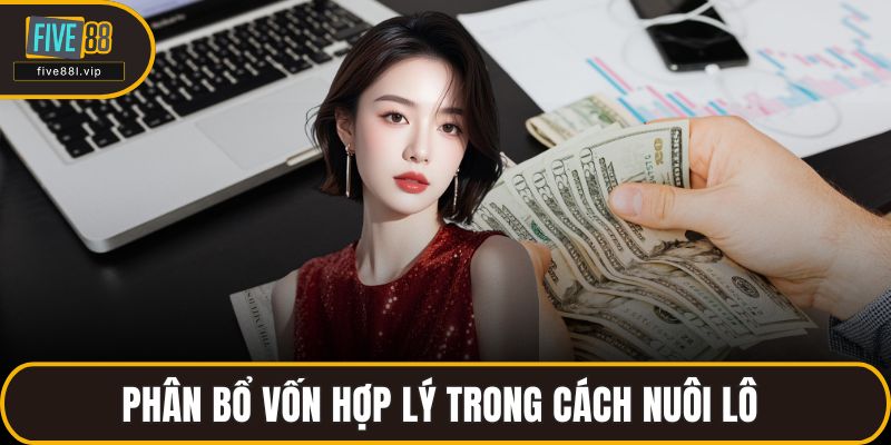 Phân bổ vốn hợp lý trong cách nuôi lô 