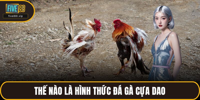 Thế nào là hình thức đá gà cựa dao