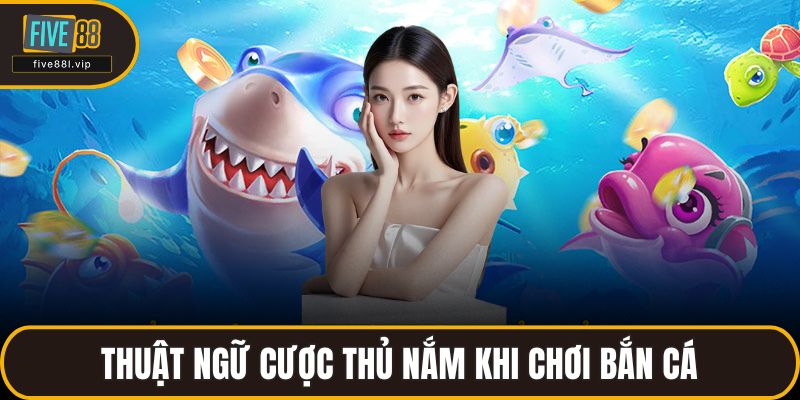 Thuật ngữ cược thủ nắm khi chơi bắn cá