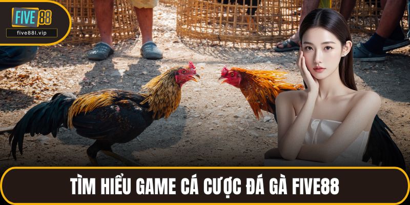 Tìm hiểu game cá cược đá gà FIVE88