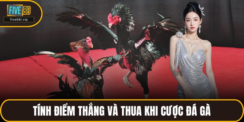 Tính điểm thắng và thua khi cược đá gà