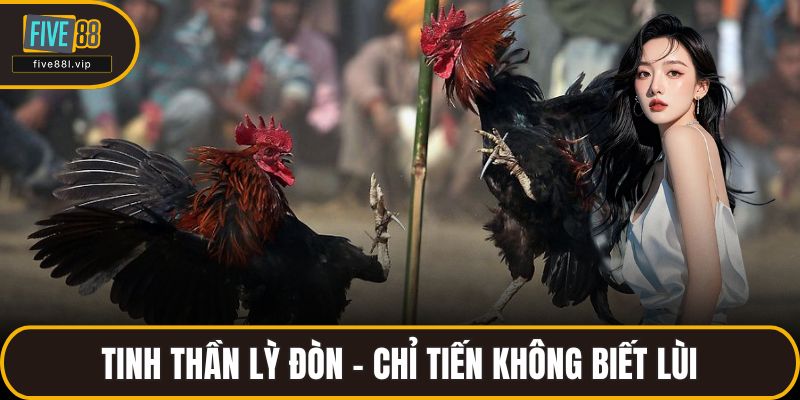 Tinh thần lỳ đòn – chỉ tiến không biết lùi