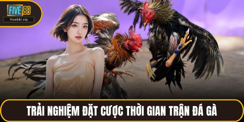 Trải nghiệm đặt cược thời gian trận đá gà