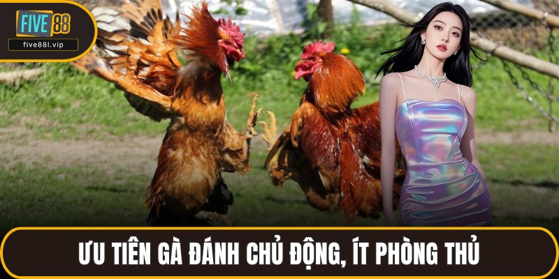 Ưu tiên gà đánh chủ động, ít phòng thủ