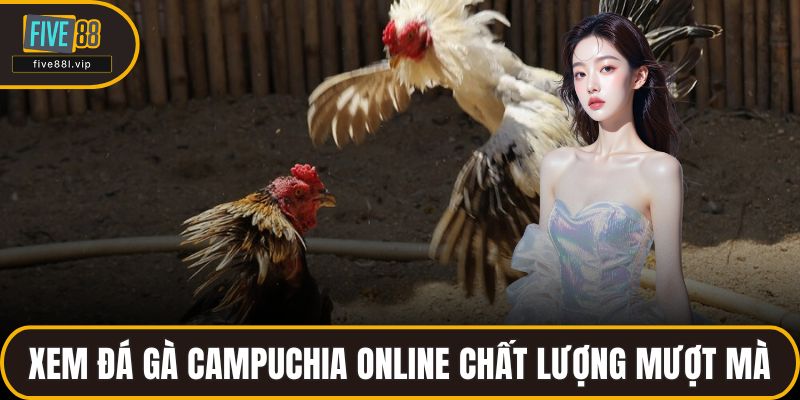 Xem đá gà Campuchia online chất lượng mượt mà